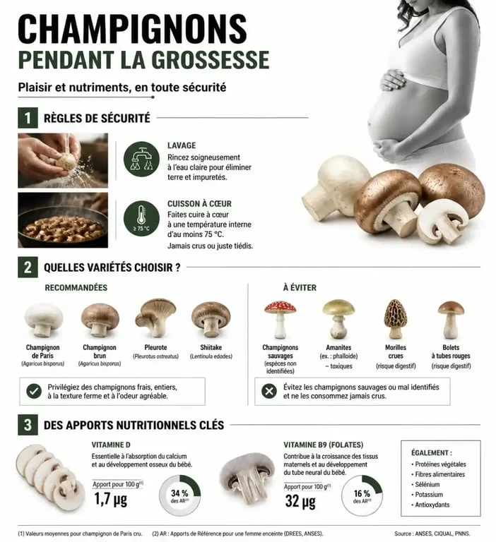 Infographie sur la sécurité et les bienfaits des champignons pour la femme enceinte