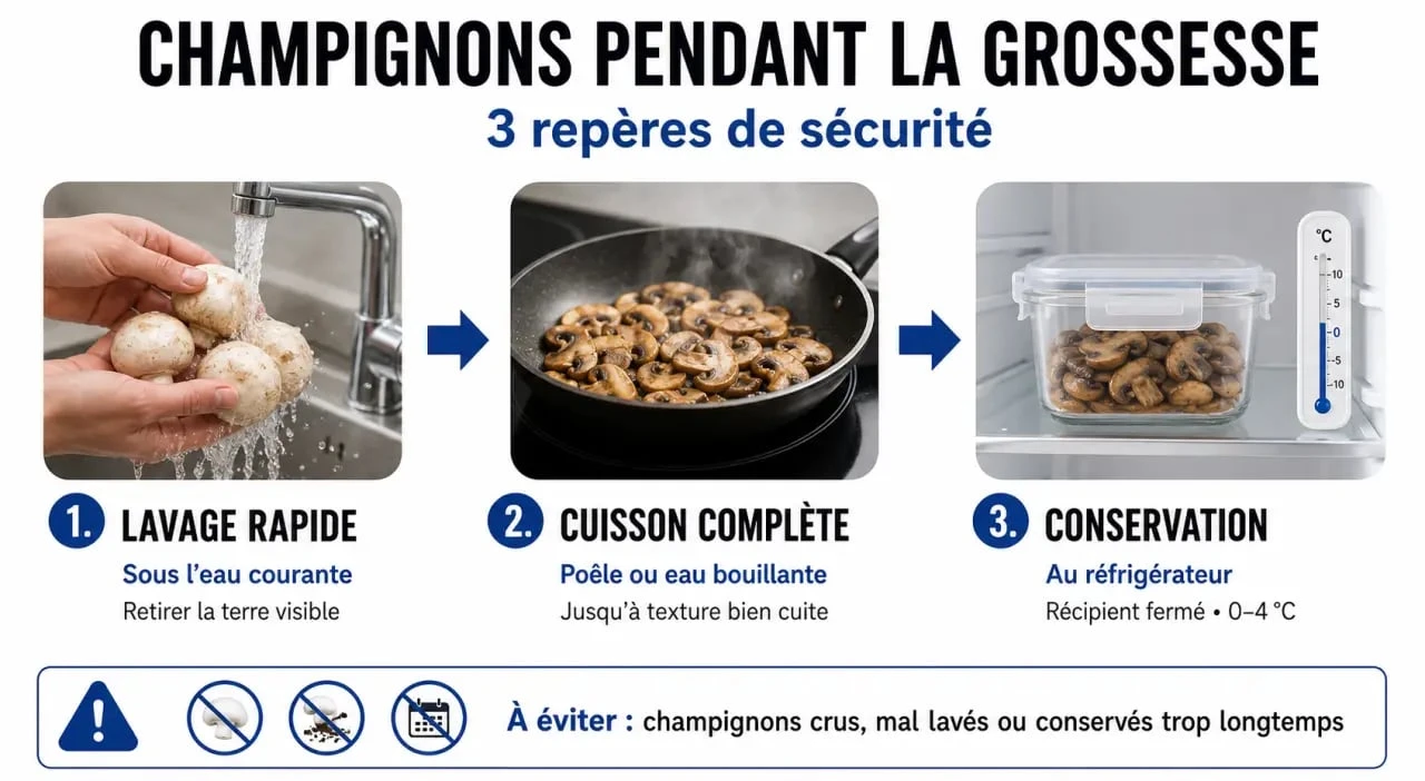 Champignon femme enceinte : lavage, cuisson et conservation sûrs