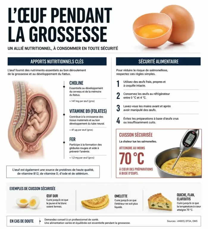 Infographie des bienfaits et règles de sécurité pour la consommation d'œufs pendant la grossesse