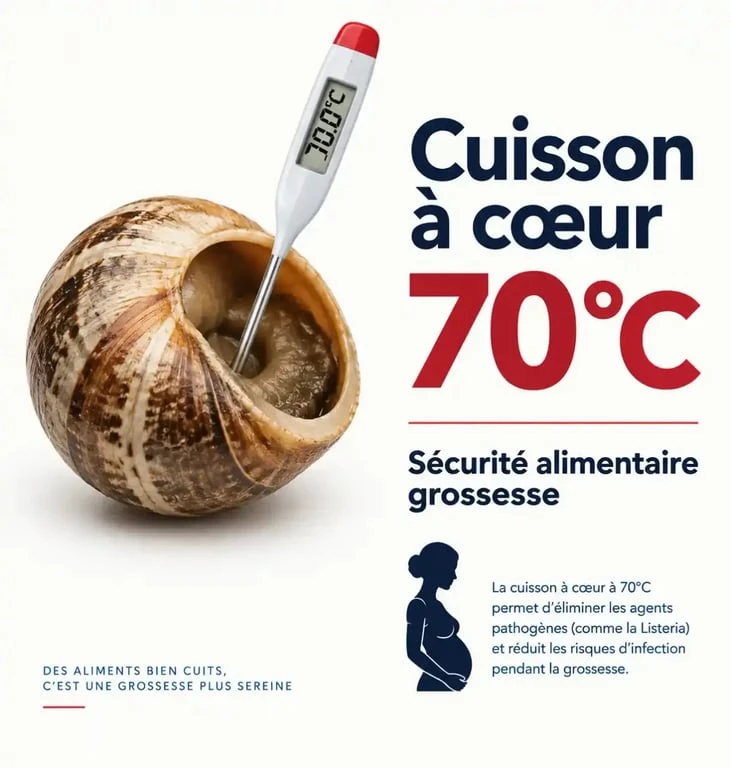 Infographie sur la température de cuisson des escargots pour les femmes enceintes